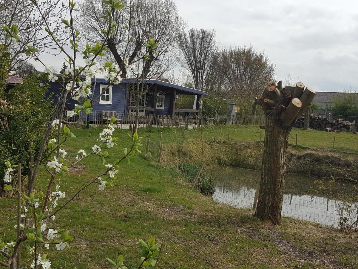De Weide Blick Villa Biggekerke Buitenkant foto